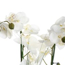 Orchidee vase ceramique Blanc H53cm