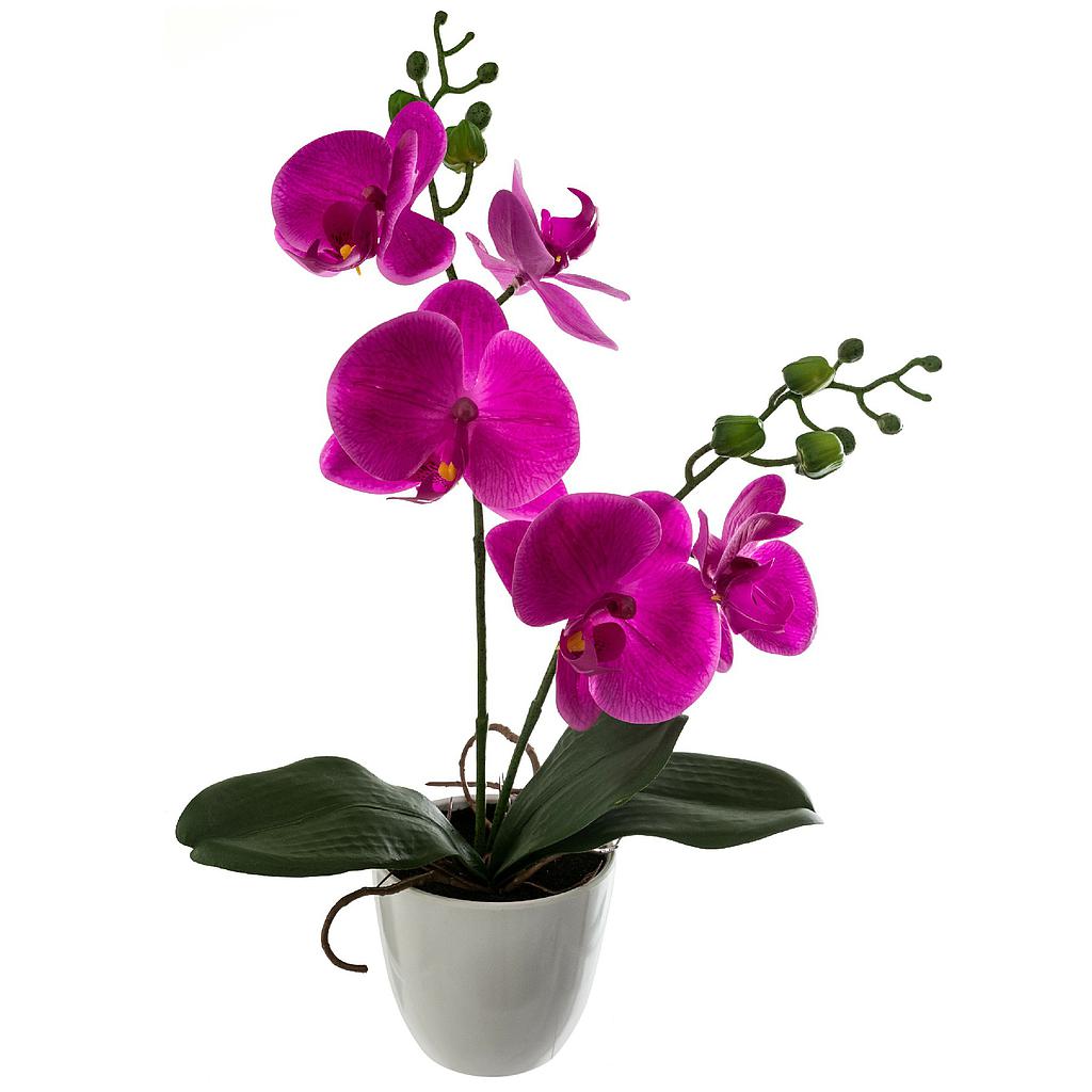 Orchidee h43cm