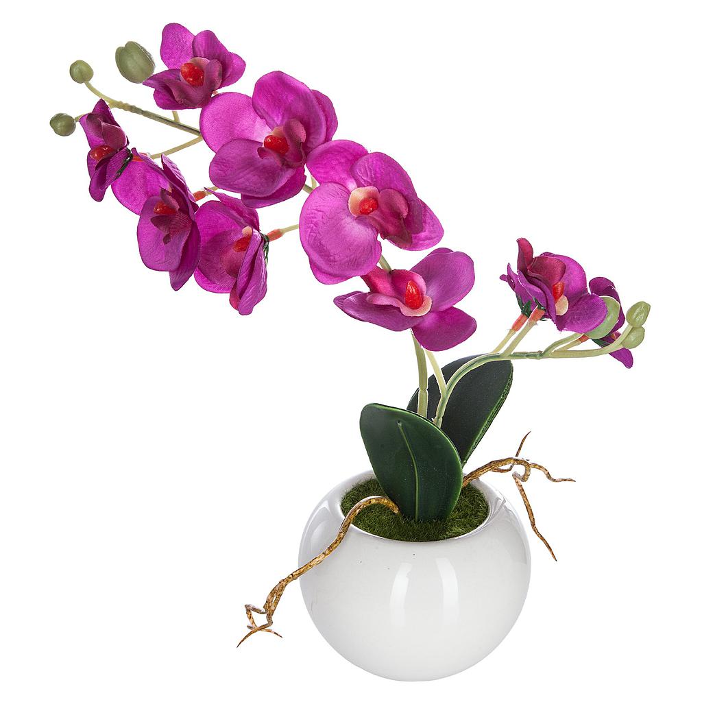 Orchidee en pot ceramique H25cm