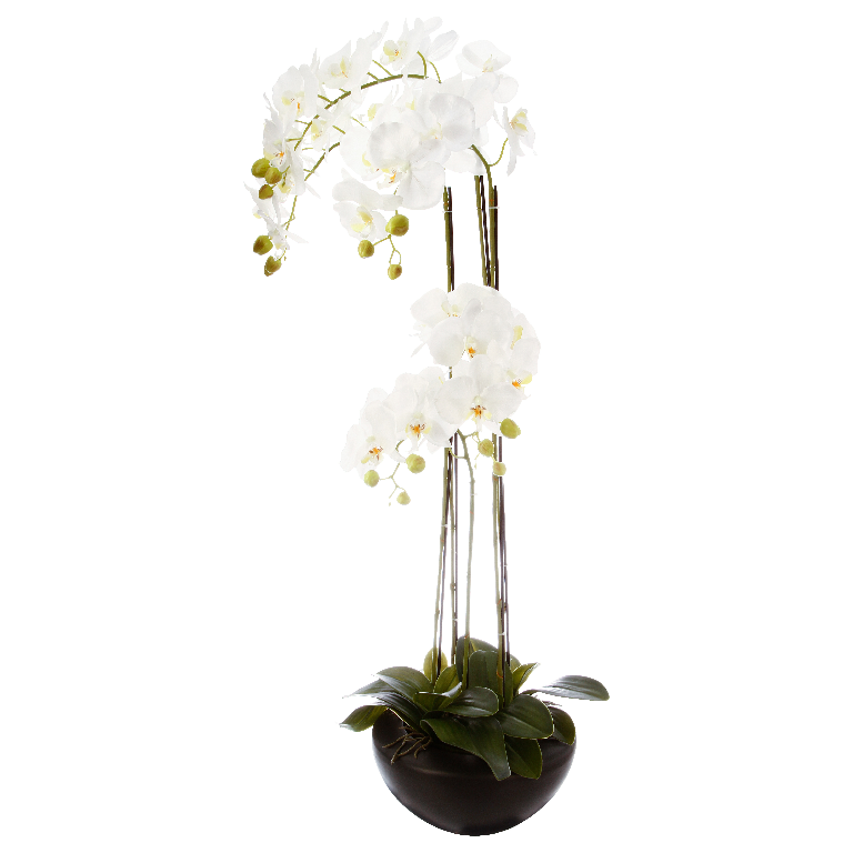 Orchidee en pot ceramique H115cm