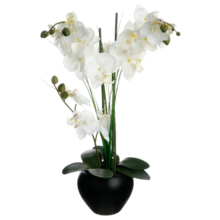 Orchi vase ceramique Noir H53cm