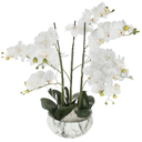 Orchidee pot ciment Marbre H65cm