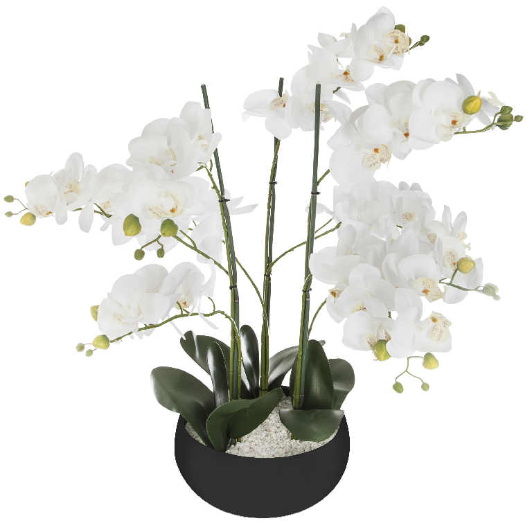 Orchidee pot ceramique H65cm Noir