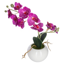 [155716] Orchidee en pot ceramique H25cm