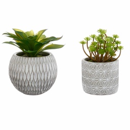 [145004] Plante grasse pot ciment H17cm