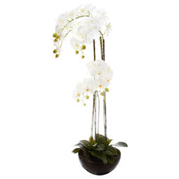 [136507] Orchidee en pot ceramique H115cm