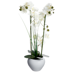 [136510B] Orchidee vase ceramique Blanc H53cm