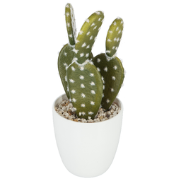 [155600] Succulent cactus Box H18cm