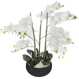 [155640A] Orchidee pot ceramique H65cm Noir