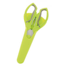 [NT00259] Ciseaux de cuisine Multifonctions 22cm Vert PRADEL EXCELLENCE