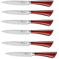 [NT00252] Coffret de 6pcs couteaux a steak avec effet damas PRADEL EXCELLENCE